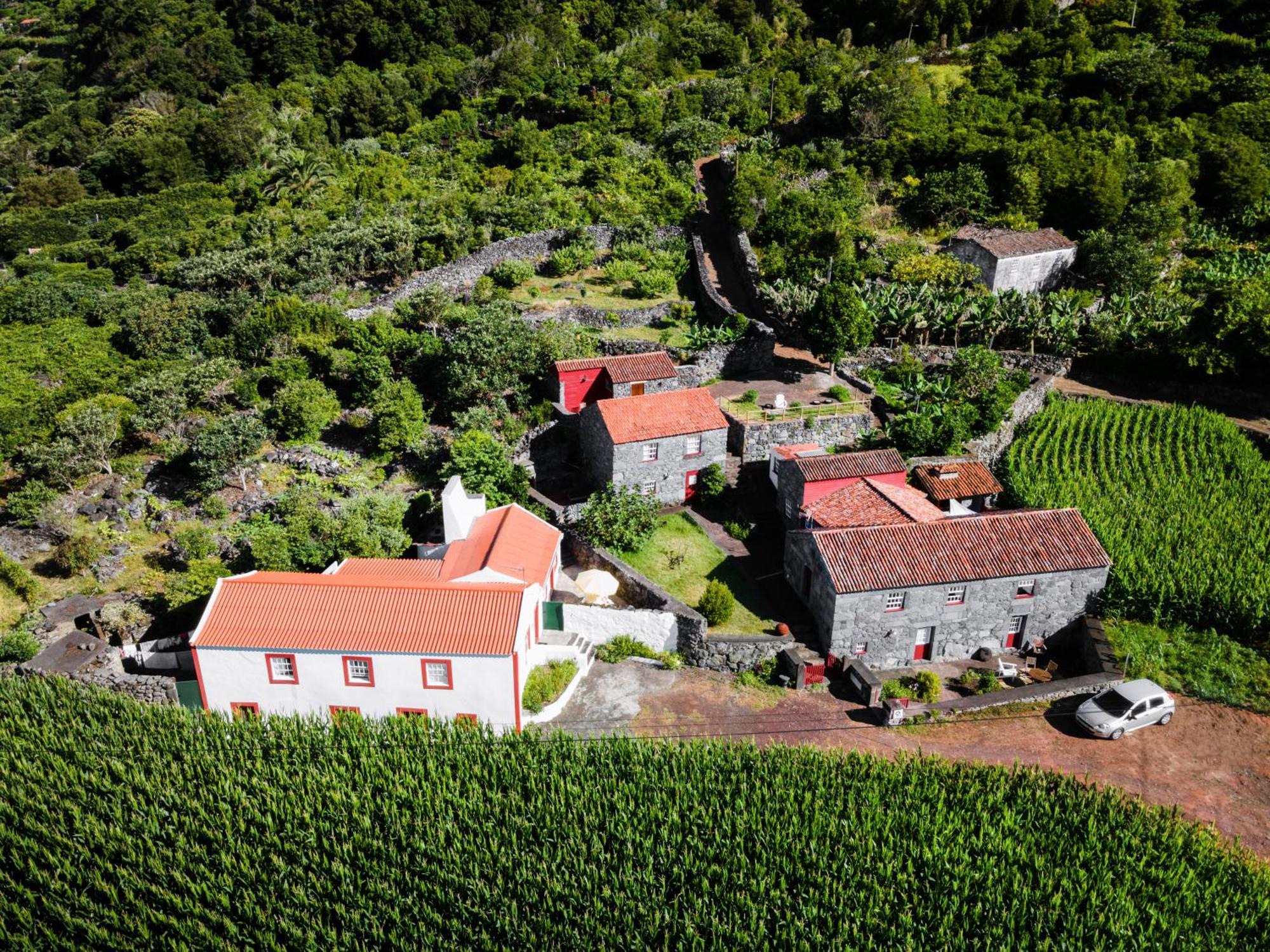 Casas Dos Vimes Villa Faja dos Vimes Exteriör bild
